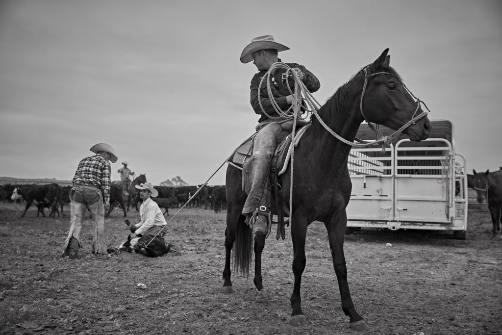 Spade Ranches